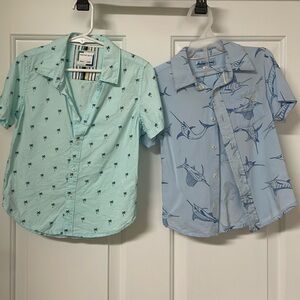 Cactus Boy & Tommy Bahama